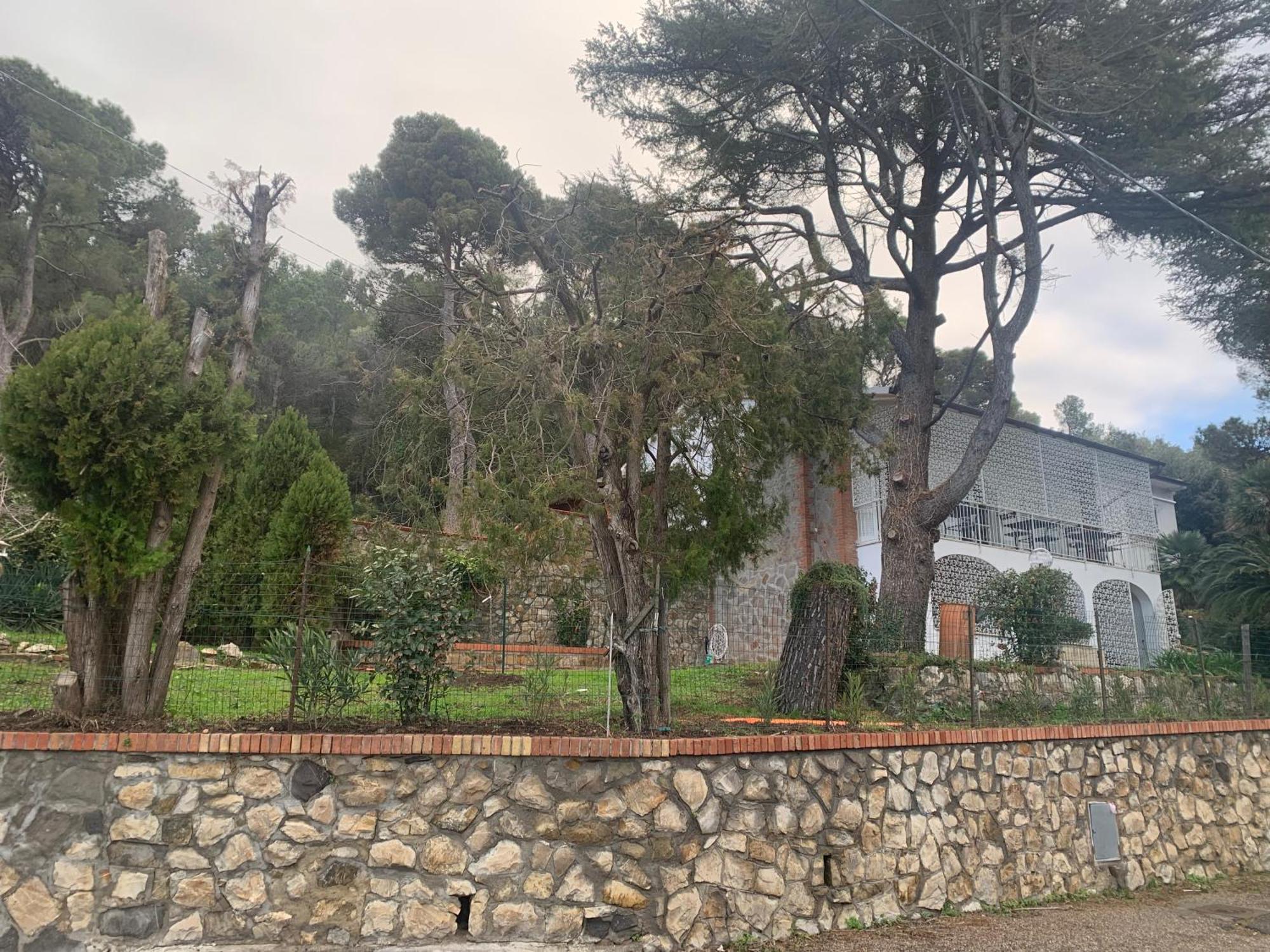 Tara Bed & Breakfast